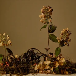 Regime Des Fleurs Falling Trees - Eau De Parfum Home Living 7 Regime Des Fleurs Falling Trees - Eau De Parfum Home Living