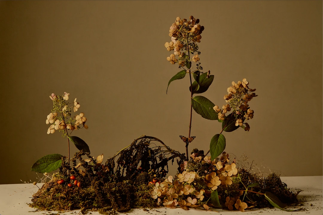 Regime Des Fleurs Falling Trees - Eau De Parfum Home Living 5 Regime Des Fleurs Falling Trees - Eau De Parfum Home Living