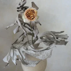 Regime Des Fleurs Home Living La-Bas - Eau De Parfum 9 Regime Des Fleurs Home Living La-Bas - Eau De Parfum