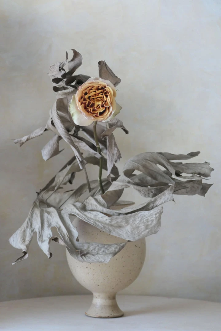 Regime Des Fleurs Home Living La-Bas - Eau De Parfum 6 Regime Des Fleurs Home Living La-Bas - Eau De Parfum